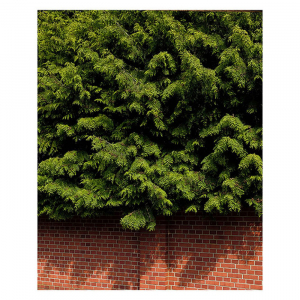 https://hardin-kirsch.de:443/files/gimgs/th-40_26_INSTA-23-05-uelzen2_v2.jpg